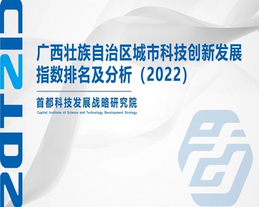 双飞肏逼啪【成果发布】广西壮族自治区城市科技创新发展指数排名及分析（2022）